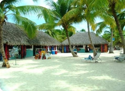 bayahibe, saona, palmstrand