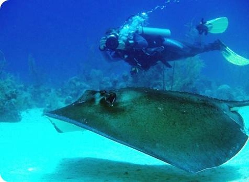 Bayahibe, duiken en snorkelen