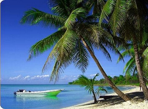 bayahibe, eiland saona, strand